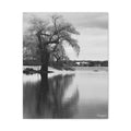 Black & White Lakeside Tree Canvas Print — Matte Stretched Wall Art