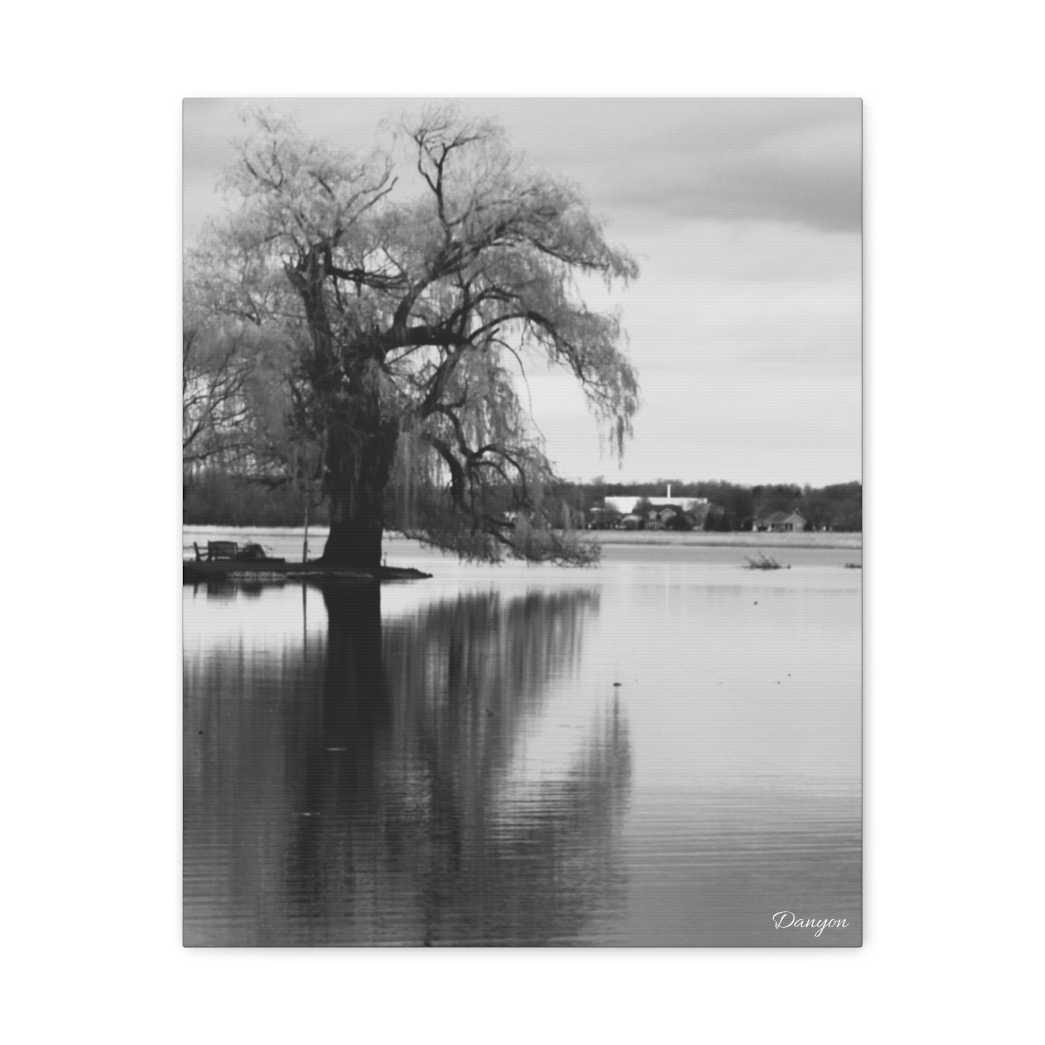 Black & White Lakeside Tree Canvas Print — Matte Stretched Wall Art