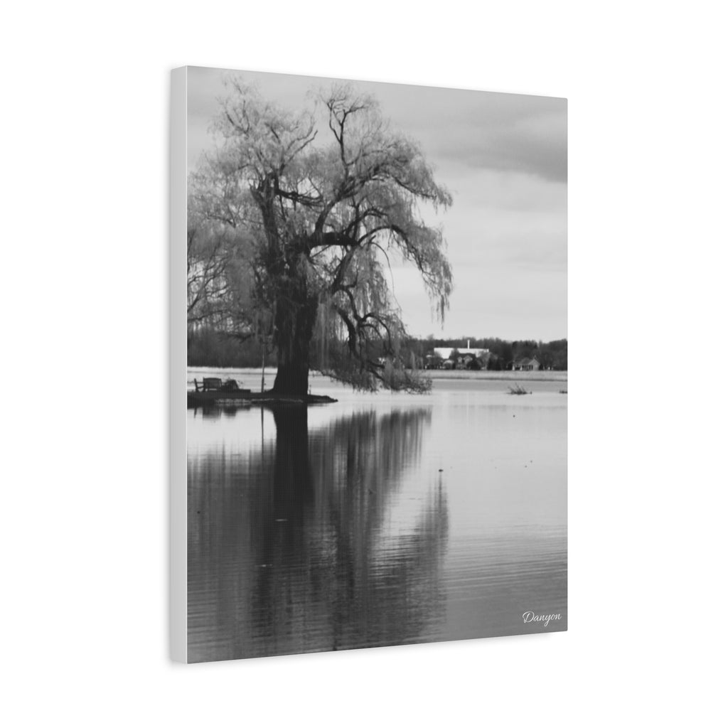 Black & White Lakeside Tree Canvas Print — Matte Stretched Wall Art