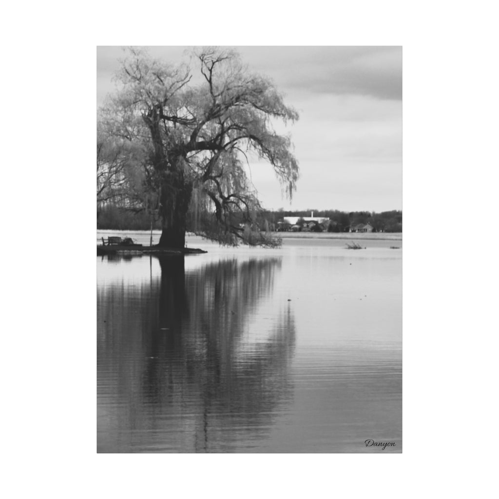 Black & White Lakeside Tree Matte Canvas Print — Stretched 1.25"