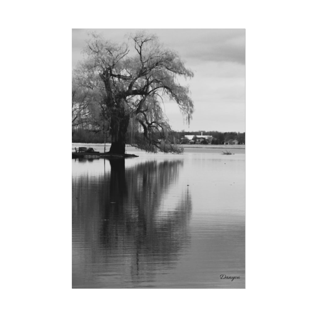 Black & White Lakeside Tree Poster — Minimalist Nature Wall Art