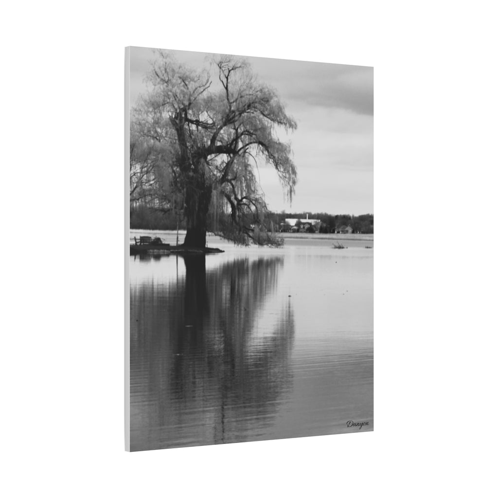 Black & White Lakeside Tree Matte Canvas Print — Stretched 1.25"