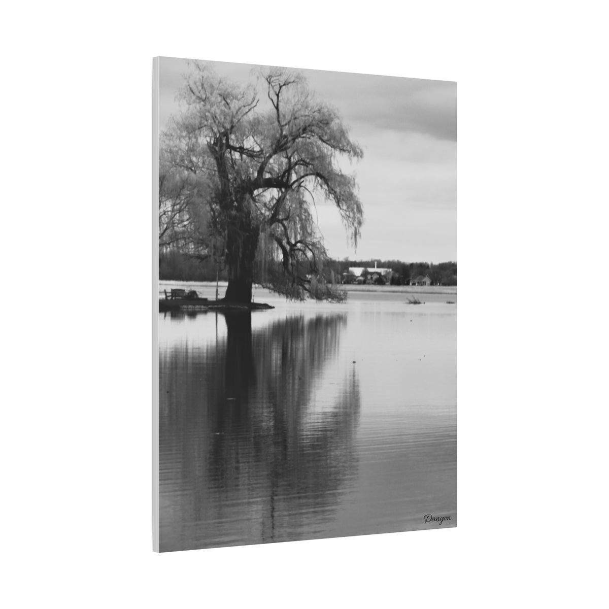 Black & White Lakeside Tree Matte Canvas Print — Stretched 1.25"