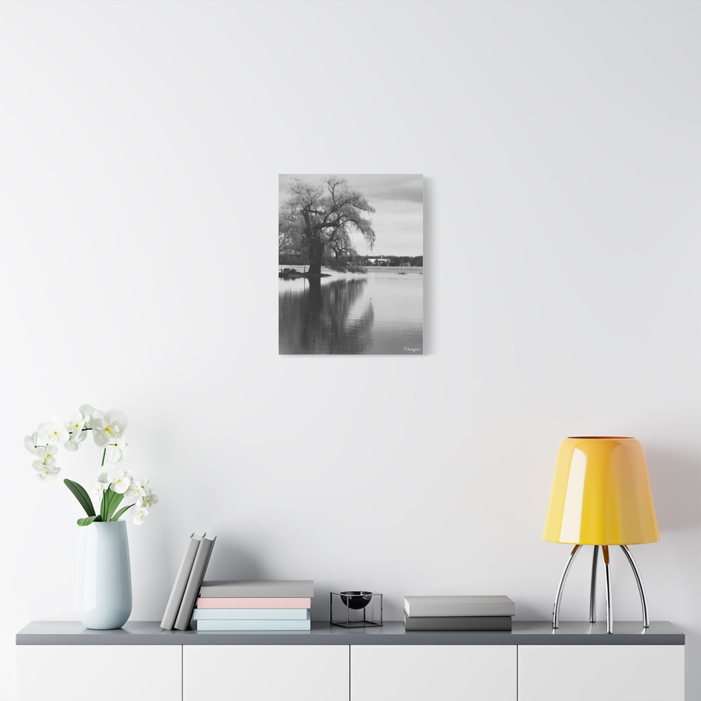Black & White Lakeside Tree Canvas Print — Matte Stretched Wall Art