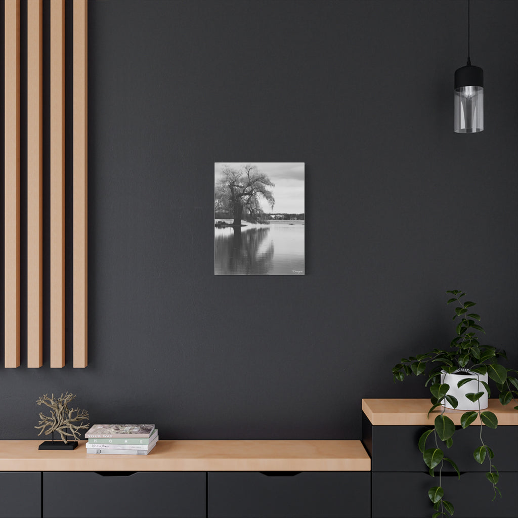 Black & White Lakeside Tree Canvas Print — Matte Stretched Wall Art